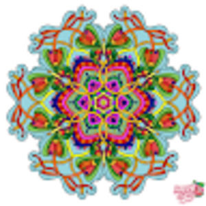 Meet your Posher, Claudia